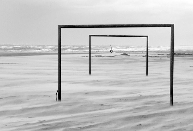 谢泼德需要 谢泼德需要