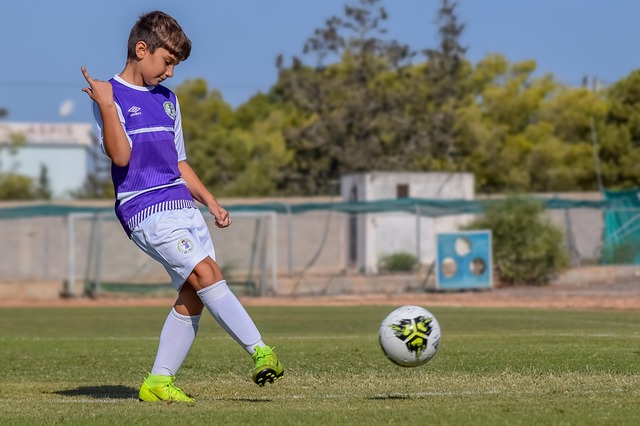 组委会从场 组委会从场