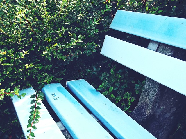 速滑的灵魂 速滑的灵魂