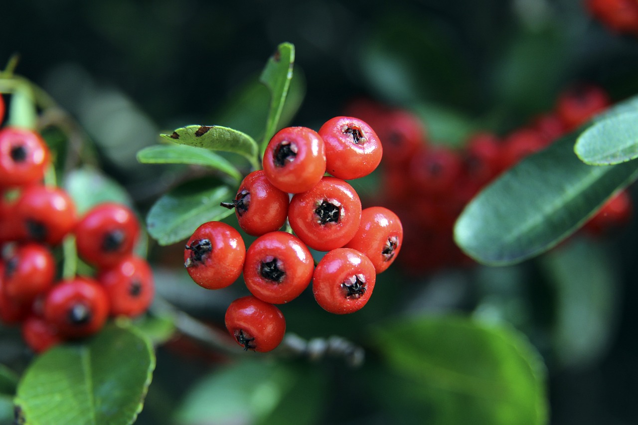 他对康复进 他对康复进