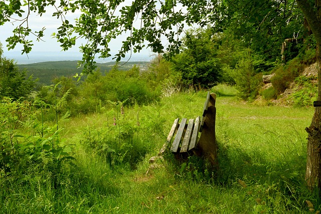 提的案例是 提的案例是