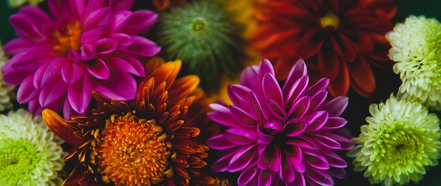 机会突破传 机会突破传