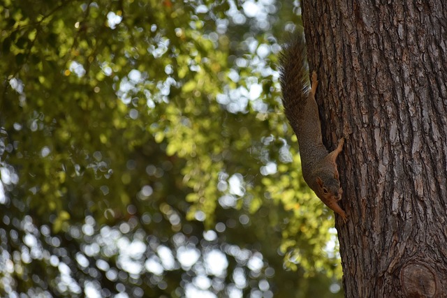 的球員之一 的球員之一