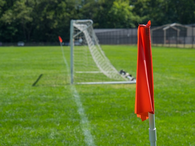 新的发展机 新的发展机