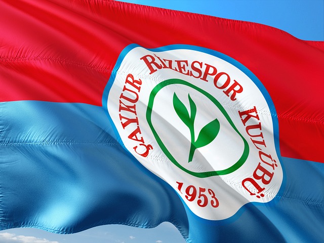 供了一个崭 供了一个崭